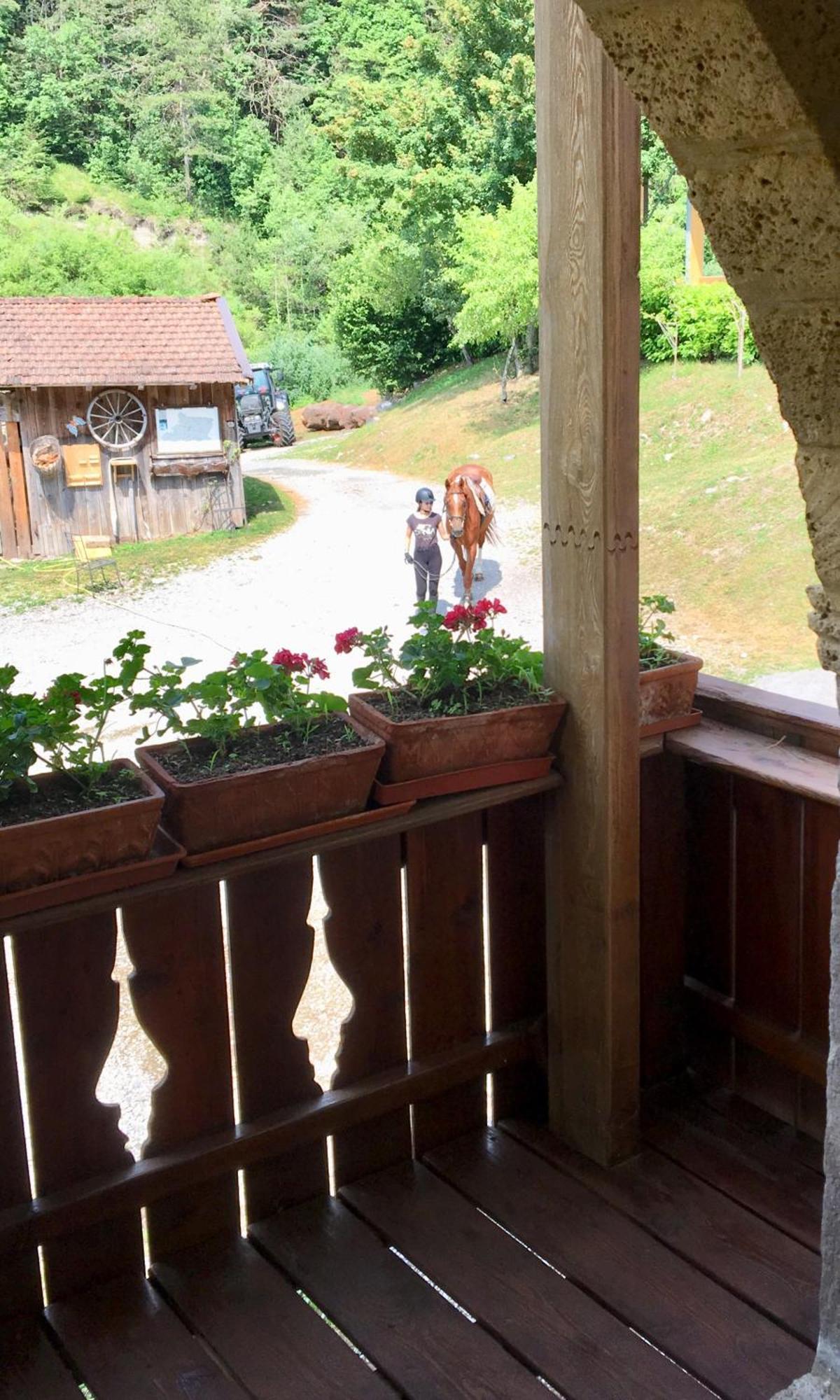 Agriturismo Randis Piano dʼArta Exterior foto