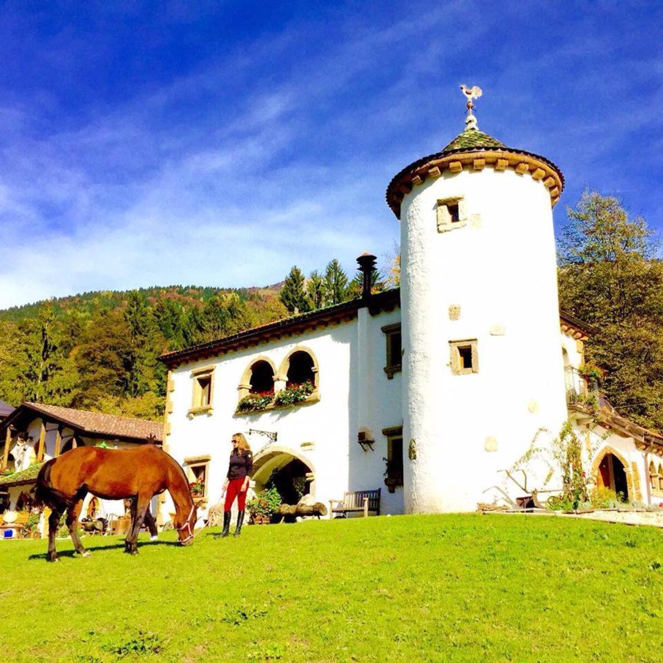 Agriturismo Randis Piano dʼArta Exterior foto